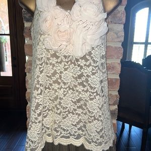 Ryu size small ivory lace sheer tan tulle overlay dress floral appliqué